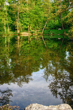 Peaceful forest pond with reflections and hidden bench