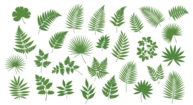 Realistic medical illustration of a human foot x-ray showing the intricate bone structure of the ankle, tarsals, and phalanges.