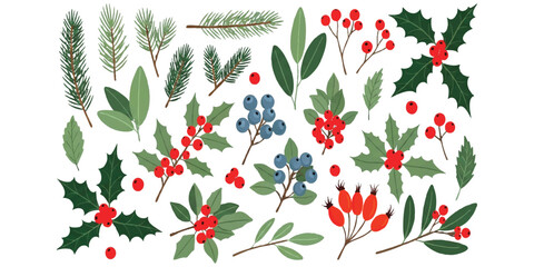 Christmas holly leaves and red berries collection set for holiday winter design elements © Sharmin