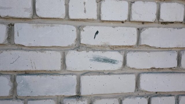 Weathered white brick wall pans downwards slowly to reveal rough industrial textures and dark scuff marks. Concept of urban decay, architectural aging, and authentic gritty backgrounds.