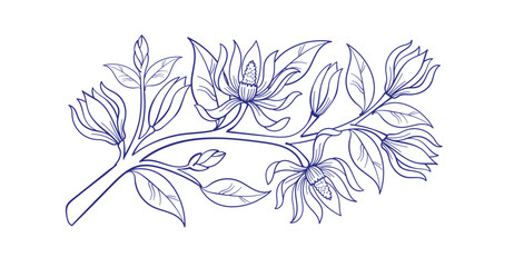 Fototapeta premium Champaca flower hand drawn vector ink traditional oriental asian Indian design isolated