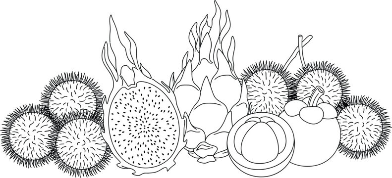 Black and white illustration of various cactus fruits