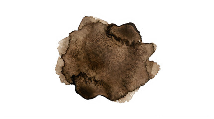 Fototapeta premium Dark brown ink splash with organic texture for artistic graphic design layout themes frontal isolated png on a transparent background perfectly cutout high resolution