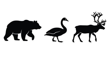 Bear goose and reindeer silhouettes against a white background © Ambiya