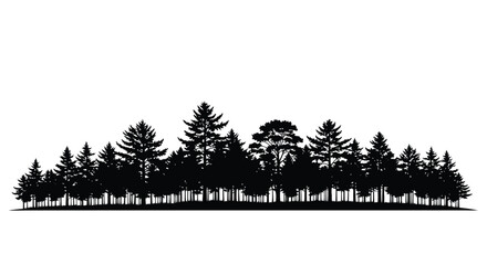 Forest trees silhouette against a white background © Ambiya