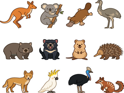 Collection of twelve Australian wildlife animal vector icons featuring kangaroo koala platypus emu wombat tasmanian devil quokka echidna dingo cockatoo cassowary and numbat