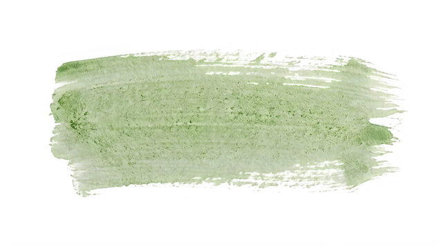 Light green watercolor paint stroke for organic nature and fresh spring branding frontal isolated png on a transparent background perfectly cutout high resolution