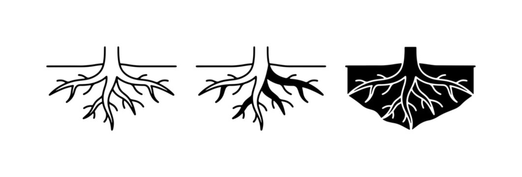 Root System Icons, Plant Foundation Graphics, Organic Structure Vector Art