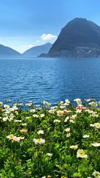 Vertical shot of blooming flowers in Parco Ciani Lugano overlooking Lake Lugano with Monte Br&egrave; rising in the background, vibrant spring colors, ducks in calm blue water, Swiss lakeside atmosphere