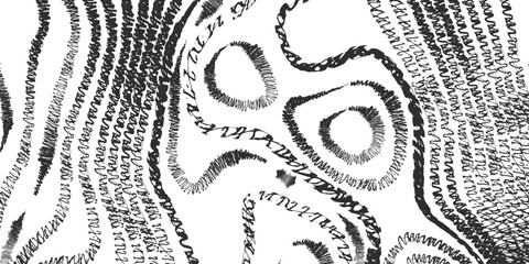 Seamless black and white zebra skin pattern vector illustration texture design with decorative vintage floral fabric style ornament pattern © MRIDUL