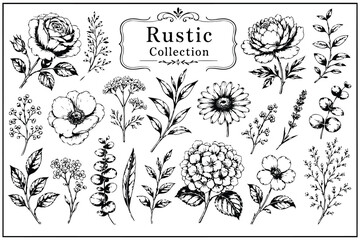 Obraz premium Rustic floral collection black and white vector illustrations Vector