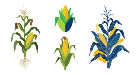 Stylized Corn Illustrations: Organic Growth, Harvest, and Abstract Designs © Tuku