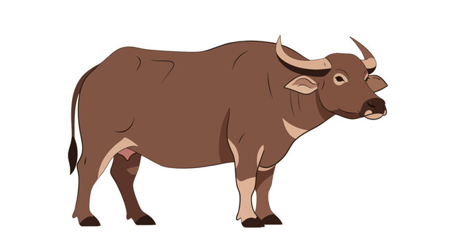 Brown Water Buffalo Standing Isolated on White Background, Farm Animal Illustration