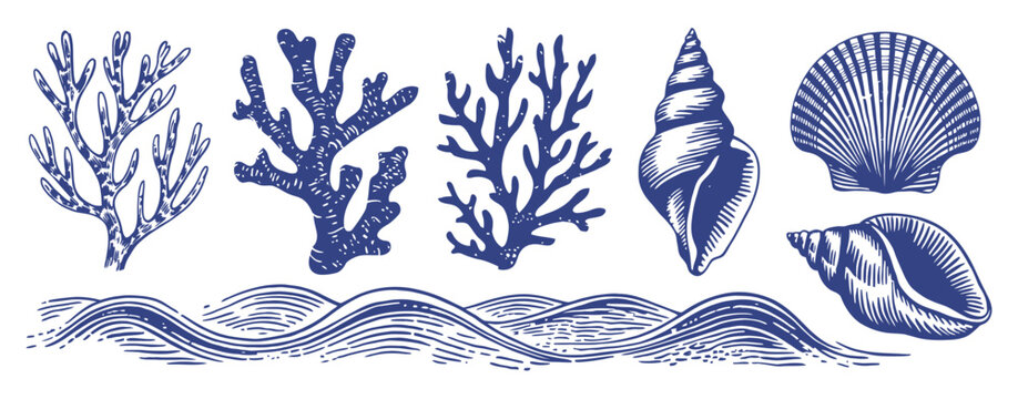 Vintage Marine Hand Drawn Collection with Coral, Seashells and Waves in Blue Ink Woodcut Style for Coastal Nautical Designs
