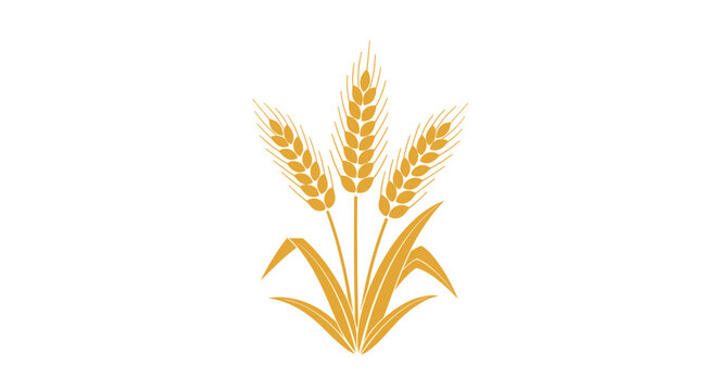 Golden illustration of three stalks of wheat grain plant symbolizing agriculture harvest and healthy organic food.