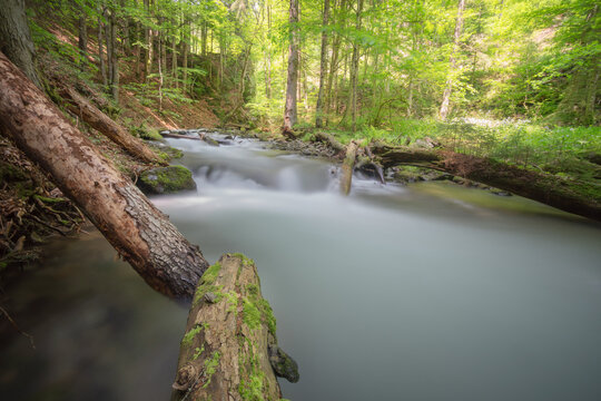 View of the Vajskovska dolina stream flowing over mossy logs in a lush green forest with sunlight filtering through the trees Dolna Lehota, Banskobystricky kraj, Slovakia.