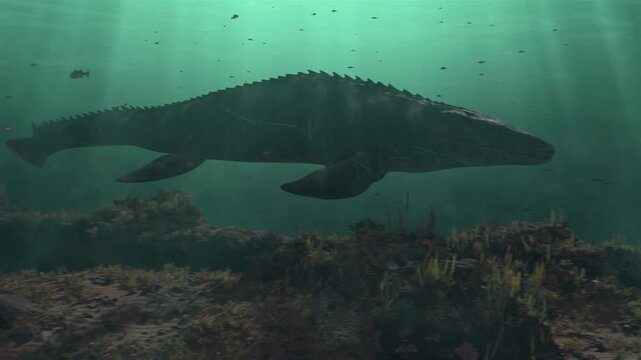 underwater 3d animation of of massive Mosasaurs swim gracefully through a deep prehistoric ocean 