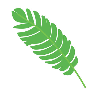 leaf-03