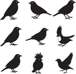 Obraz premium Bird silhouettes collection with silhouette illustration isolated creature feathers wildlife collection different