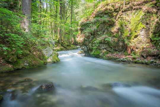 View of the Vajskovska dolina stream flowing through a lush green forest with mossy rocks and tall trees in Dolna Lehota, Banskobystricky kraj, Slovakia.