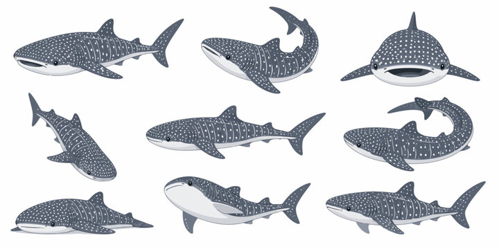 Whales and dolphins swim together in ocean waters, showcasing various species and poses in a natural aquatic environment, image-162.ai