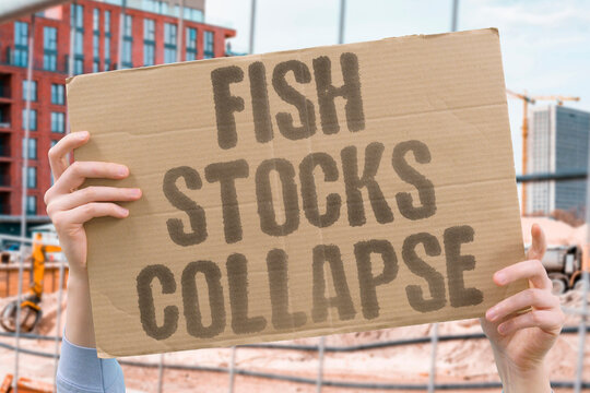 "Fish Stocks Collapse" Overfishing has brought commercially important species near extinction. OVERFISHING. COMMERCIALLY. IMPORTANT. SPECIES. EXTINCTION.