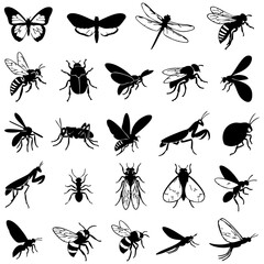 Fototapeta premium Collection of insect silhouettes featuring butterflies dragonflies bees black and white no people animal graphics silhouette