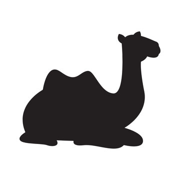 Silhouette of camel sitting down isolated transparent background