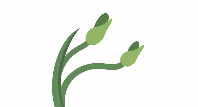 Two green buds on a stem against a white background