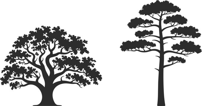 Tree silhouettes set oak and pine detailed black shapes isolated on white background vector illustration for nature design elements
