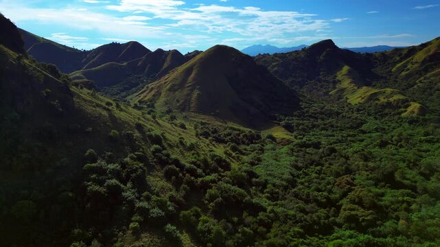 Expansive view of komodo island's rolling hills covered in lush green forest and grasslands under a blue sky. Magic aerial view static panorama hovering drone