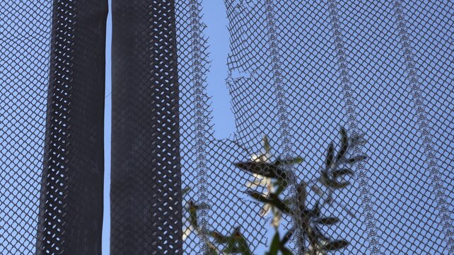 A tear in a fly screen, close-up of a torn mosquito net against a clear sky with green leaves in the background