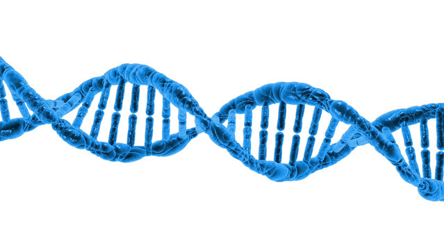 blue dna strand structure png transparent design, transparent background genetic helix molecule png, futuristic dna double helix transparent png image
