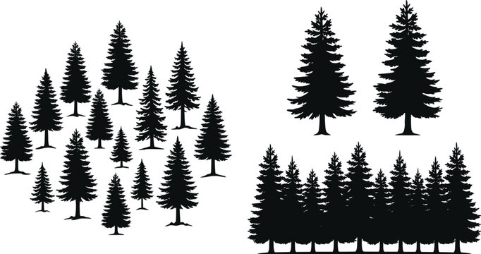 Black pine tree silhouettes and evergreen forest collection featuring conifer spruce and fir trees isolated on white background