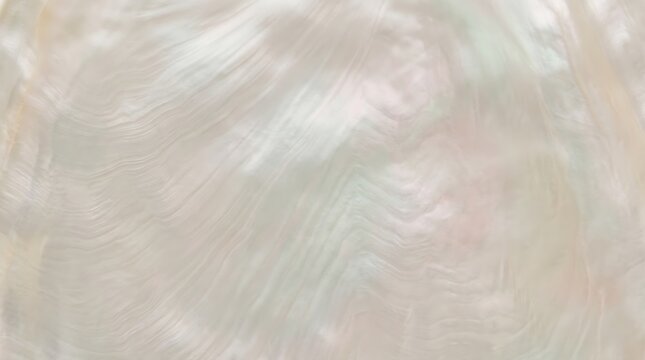 Elegant white nacre pearl shell texture with iridescent rainbow reflections and organic wavy patterns macro background