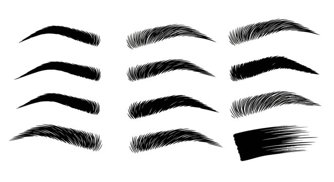 Eyebrow vector icons, black eyebrows, brow shapes, makeup elements, beauty illustrations
