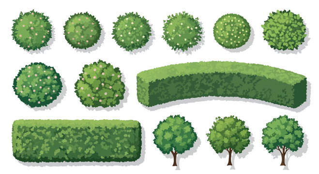 Green garden shrubs and hedge bushes set, 13 landscape architecture plant icons, top view and side view foliage elements for site planning
