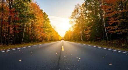 Fototapeta premium Asphalt road through autumn forest landscape.