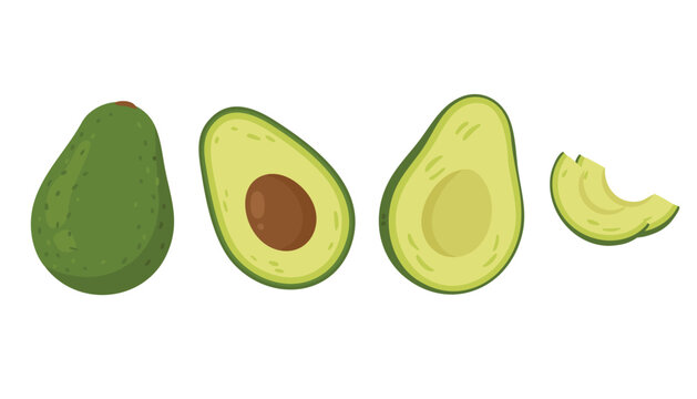 Vector set of whole and sliced avocado fruit isolated on a white background.