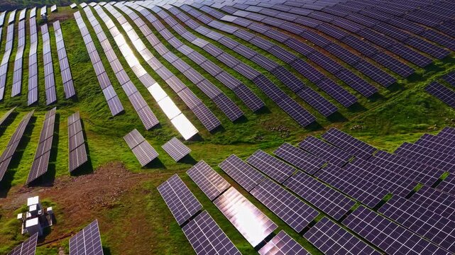 Solar panels are arranged on a hillside under bright sunlight, capturing energy. The panels are lined up in rows, maximizing space and efficiency for energy production.