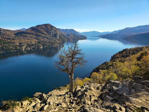Chimango Caracara Perched Above Lake Lacar in San Martin de los Andes Patagonia