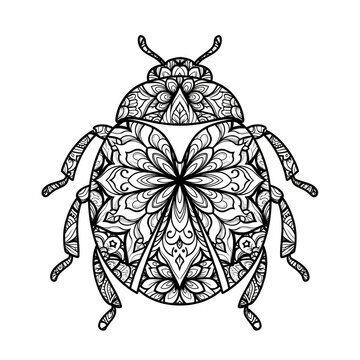 Ornamental Mandala Style Ladybug Silhouette with Floral Flower Pattern Black and White Decorative Beetle Insect Illustration for Tattoo and Art Print