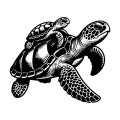 Fototapeta premium Sea turtle family swimming