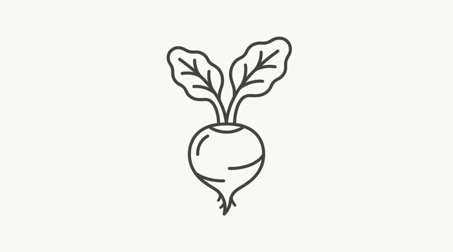 Beetroot Vegetable Plant Line Drawing.