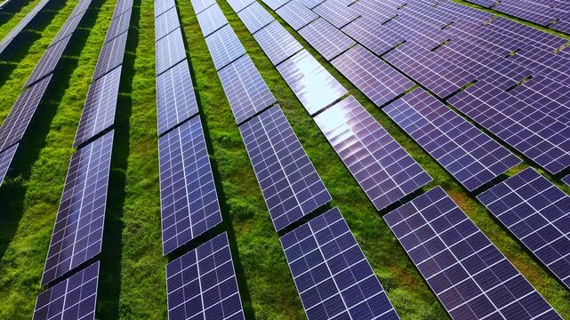 Rows of solar panels stretch across a field under sunlight. The panels sit on green grass and absorb energy from the sun in a rural location.