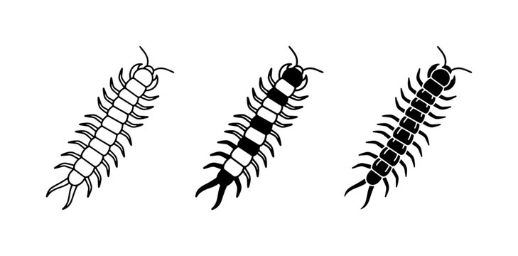 Centipede Vector Icons: Black and White, Outline, and Silhouette Styles
