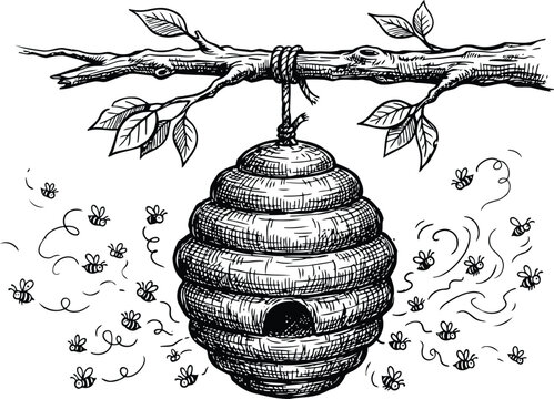 Vintage Beehive Skep Illustration with Swarming Honey Bees on Tree Branch