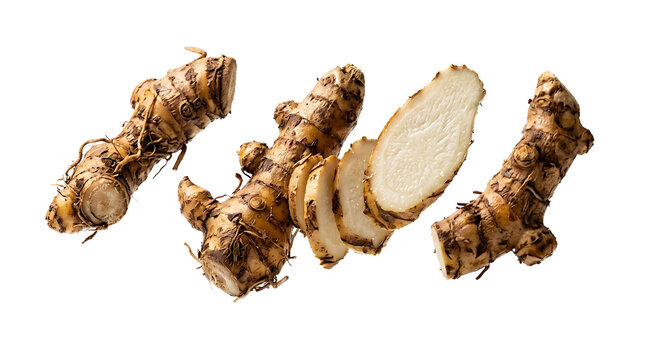 Tropical Galangal Spice Root with Fresh Cut Surface Isolated for Culinary and Herbal Ingredient Design