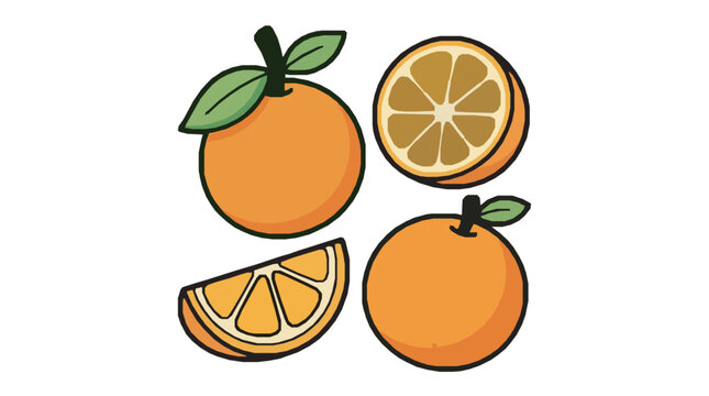 Fresh orange fruit collection featuring whole oranges with green leaves half cut slices and juicy wedges in a cute hand drawn cartoon style for healthy food packaging and juice labels.