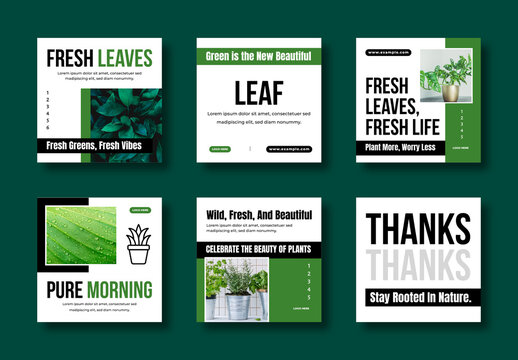 Botanical Social Media Post Template Set Design